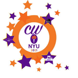 New York University MSA